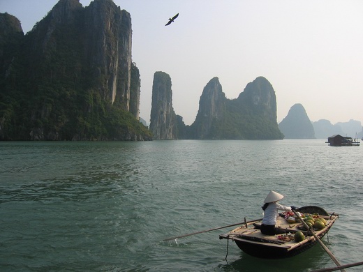 Frequently asked questions