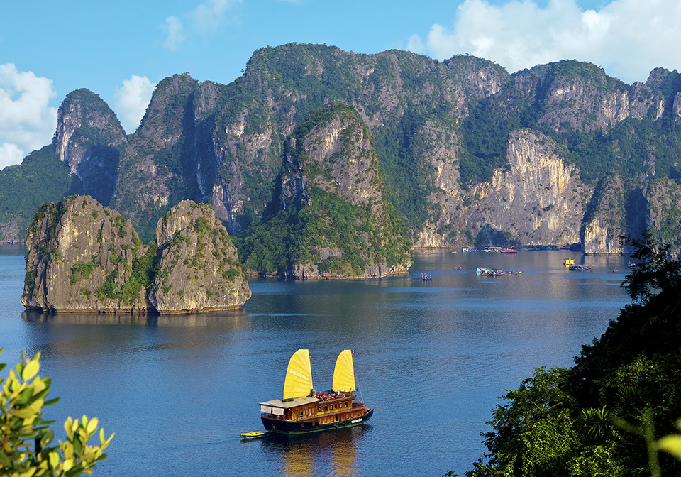 Valentine Premium Cruise – Please contact us