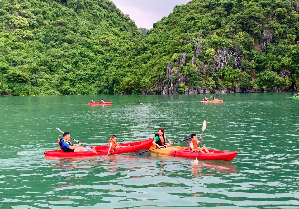 Kayak