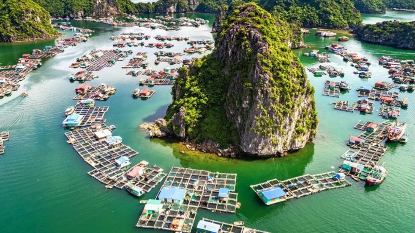 Visit Viet Hai fishing village