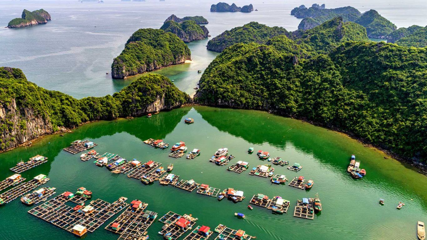 Lan Ha bay cruise